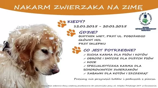 'Nakarm zwierzaka na zimę' - akcja studentki Akademii Morskiej w Szczecinie