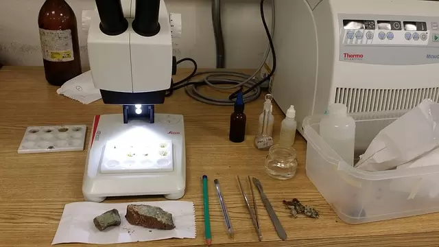 ZUT w Szczecinie rejestruje kolejne wynalazki 