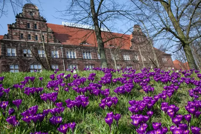 Politechnika Morska w Szczecinie